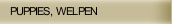 PUPPIES, WELPEN